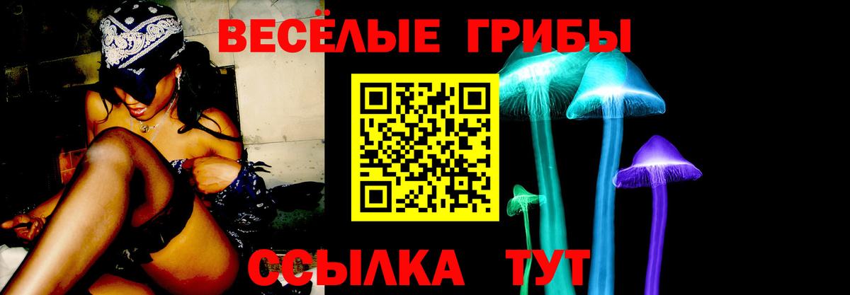 Пыть-Ях  Галлюциногенные грибы GOLDEN TEACHER  Псилоцибиновые грибы мицелий  Вход с VPN 